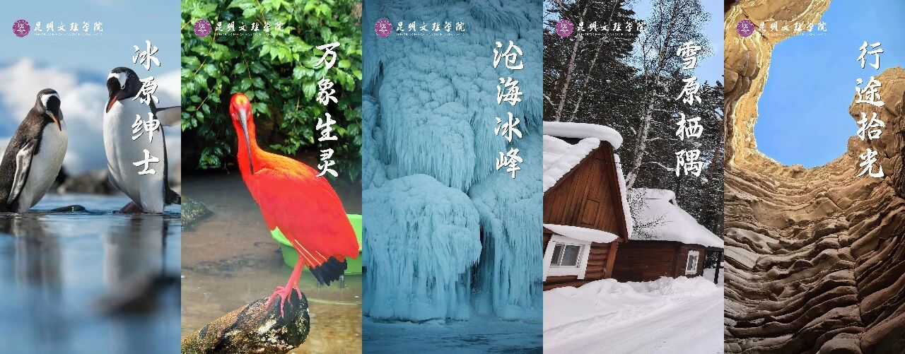 微信图片_2026-06-25_221516_345 微信图片_2026-06-25_221516_345