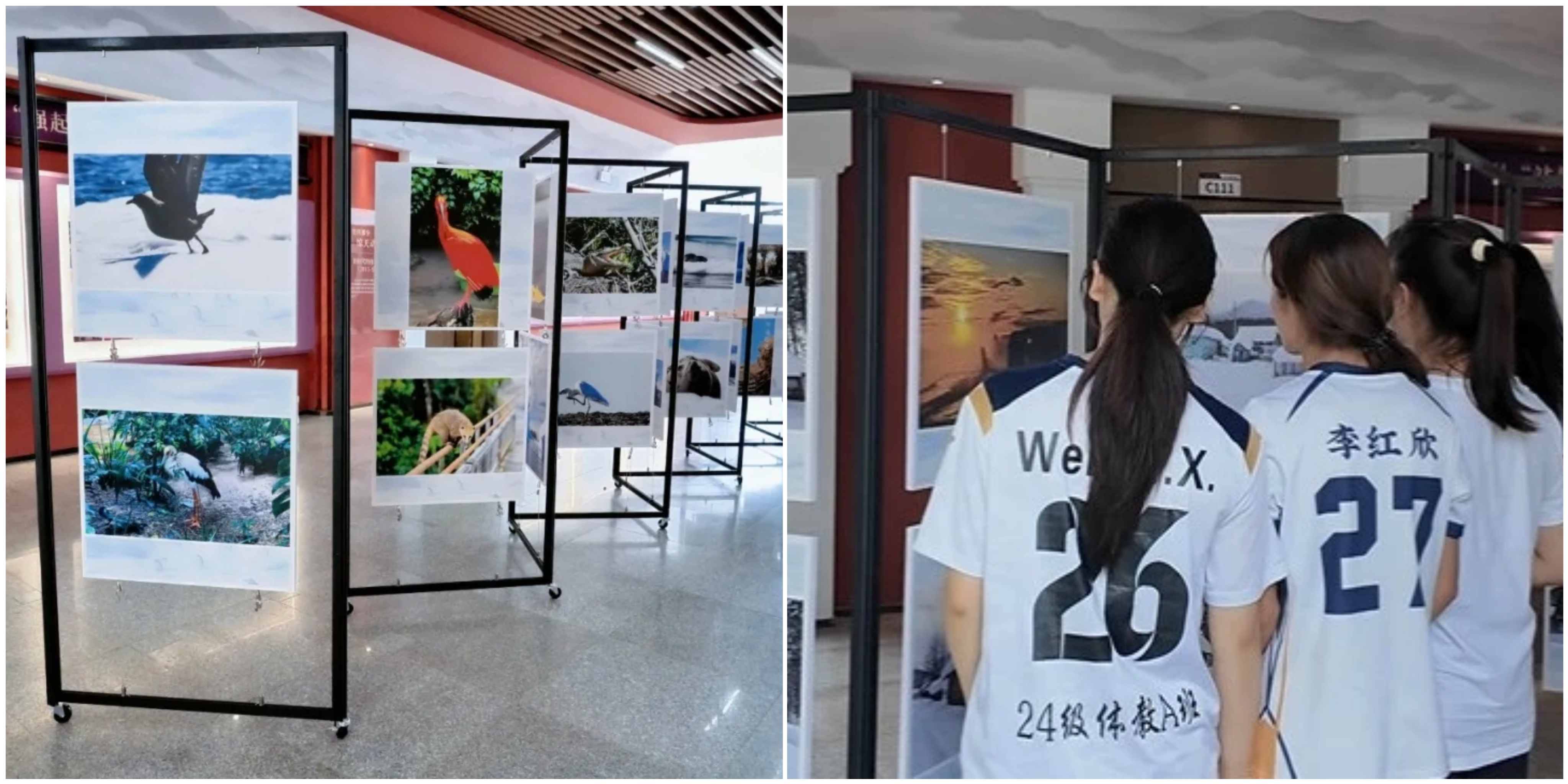 微信图片_20260625222717_103_115 微信图片_20260625222717_103_115