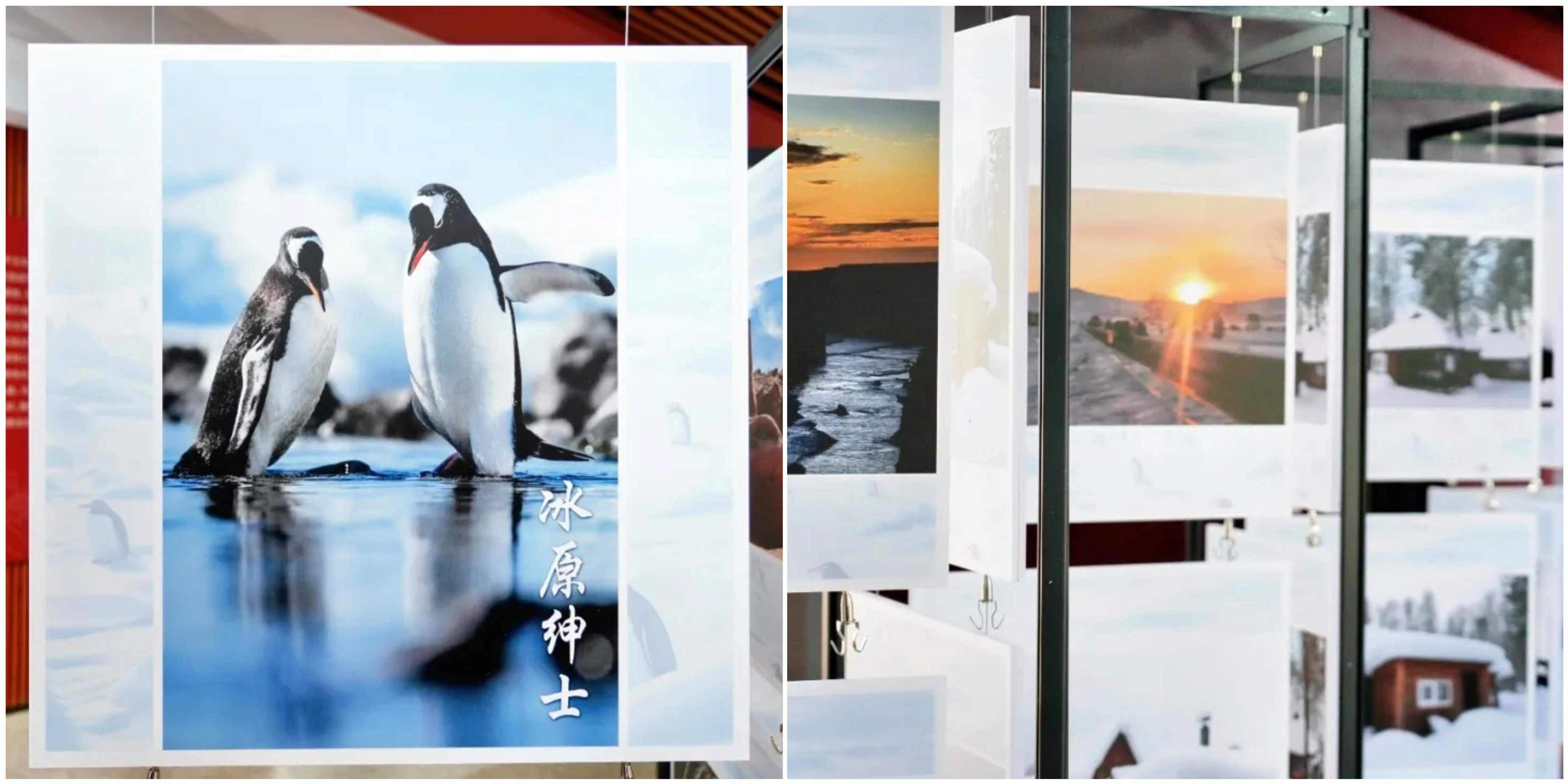 微信图片_20260625222718_104_115 微信图片_20260625222718_104_115
