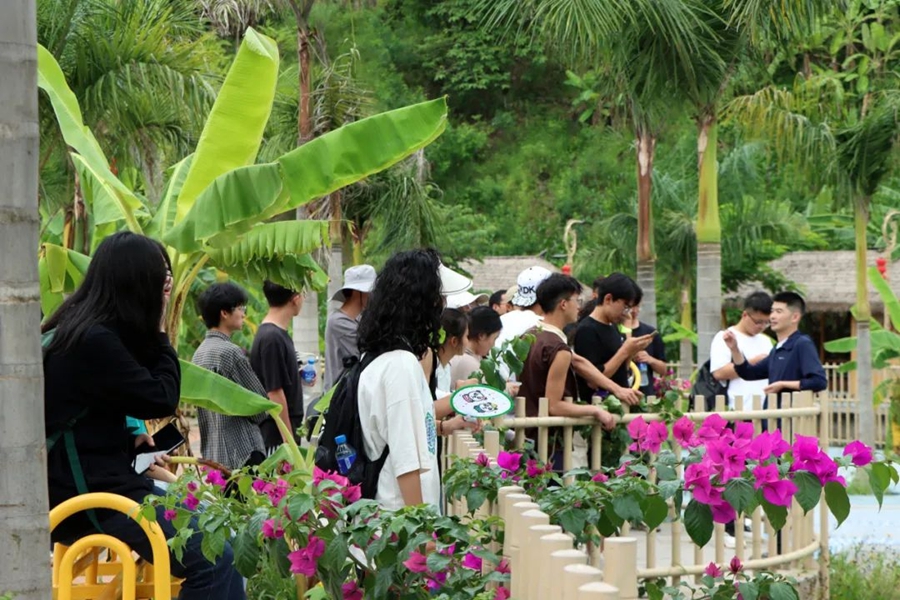 1690183253306387.jpg 图片 4.jpg