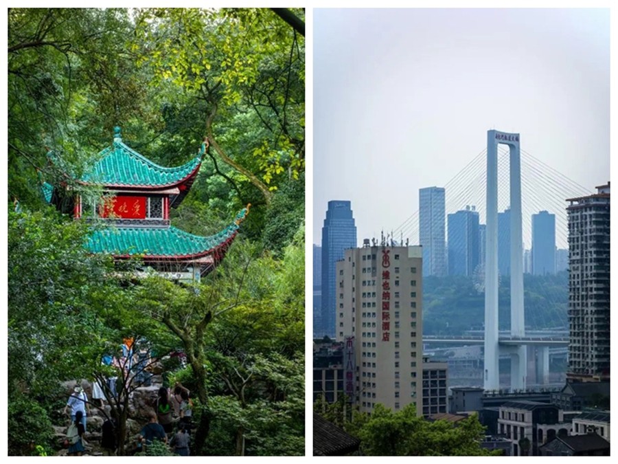 1727264569618163.jpg 光影魔术手拼图4.jpg