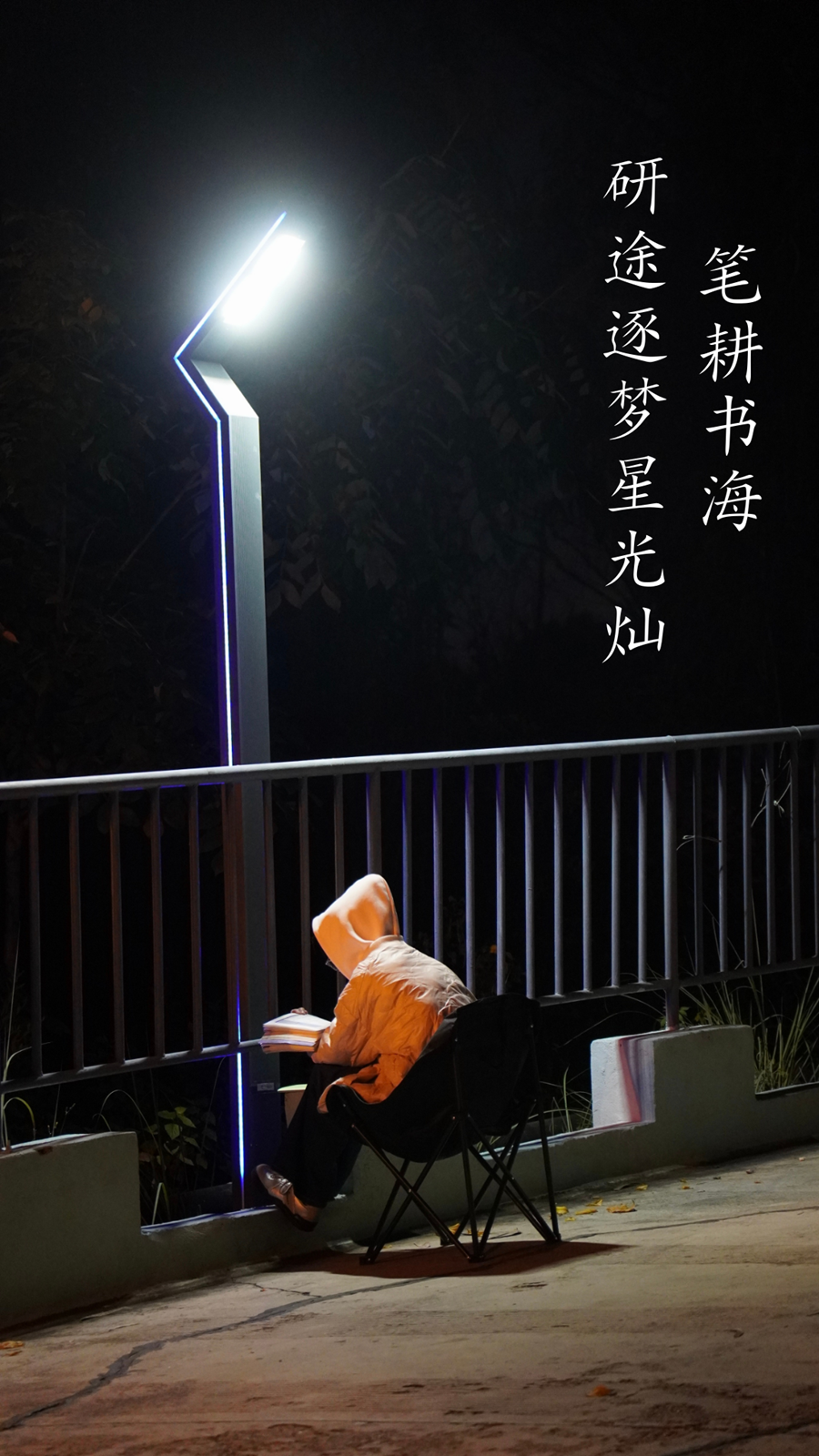 微信图片_20241212134523