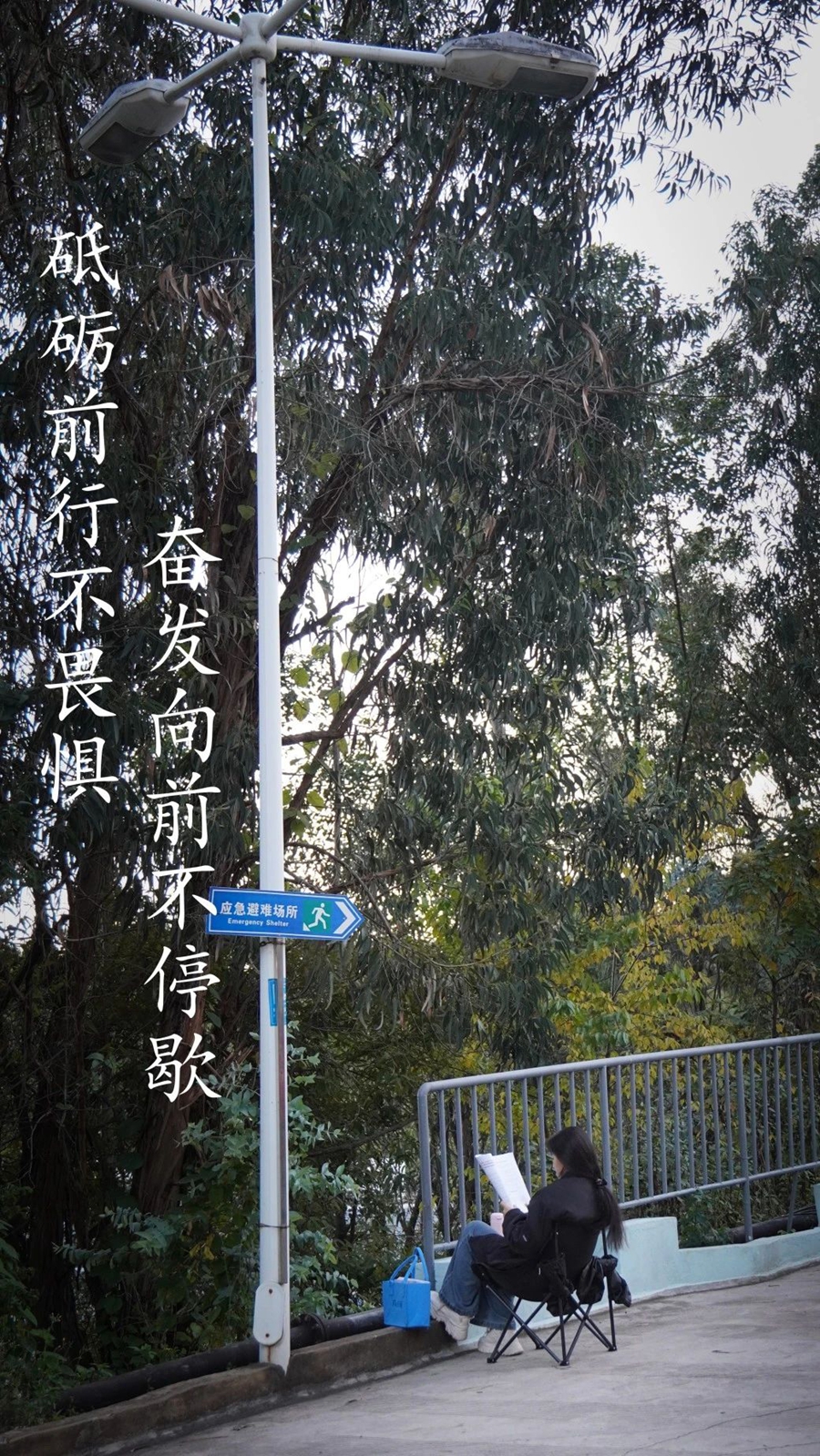 微信图片_20241212134515