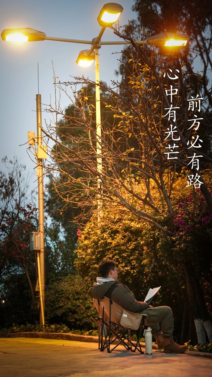 微信图片_20241212134519