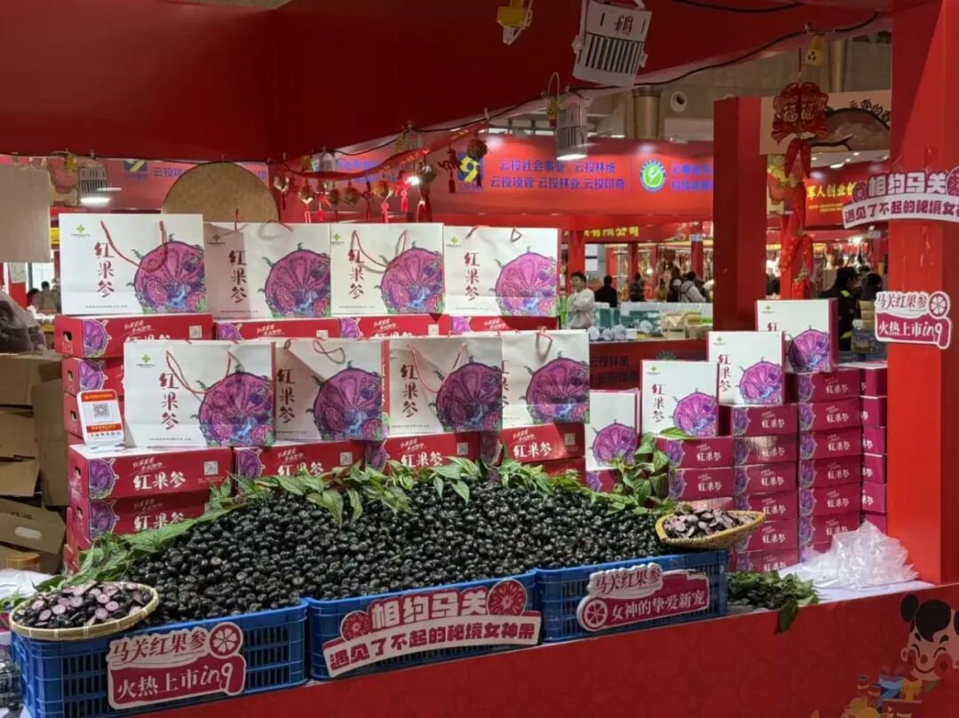 微信图片_2026-02-11_110924_365